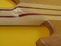 back of neck of maple bass