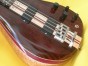 Cocobolo model body