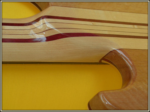 Rear view of laminated neck
