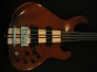 Fretless bass guitar in Imbuya close up of body