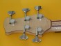 headstock of maple bass