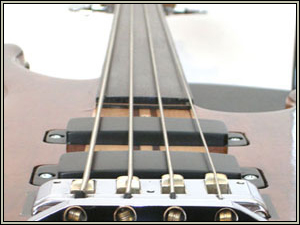 fretless fingerboard