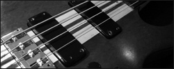 picture of Imbuya bass